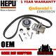 Volkswagen Passat Eos Golf GTI Jetta Timing belt Kit Water pump 2.0T FSI 06 09
